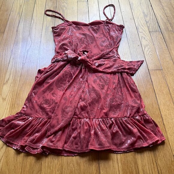 Intimately Free People Size S Pink Blush Velvet Floral Ruffled Mini Dress - Picture 13 of 15